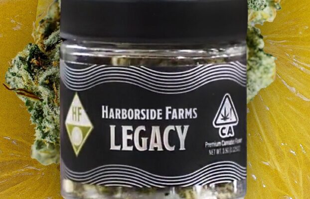SFV OG Wins Recognition at Emerald Cup for House of Kush