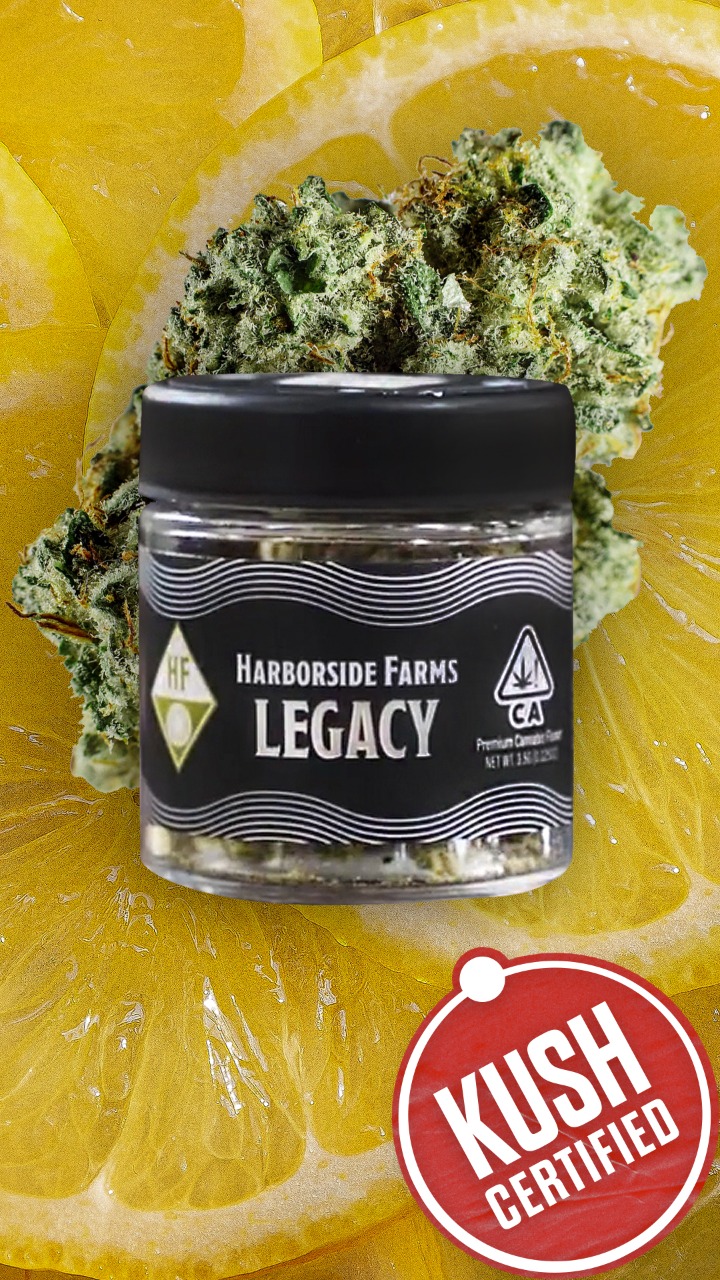 SFV OG Wins Recognition at Emerald Cup for House of Kush
