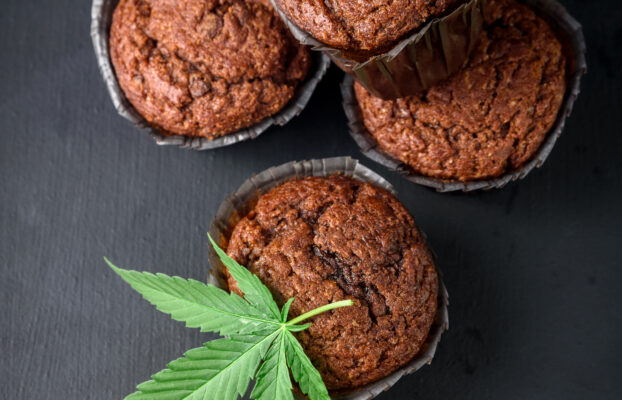 Cooking with Cannabis: What You Need to Know